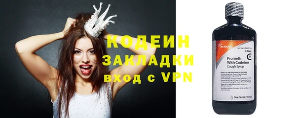 шишки Медвежьегорск