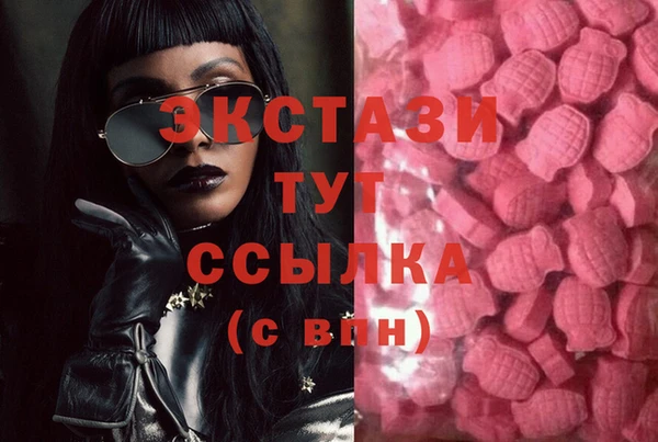 шишки Медвежьегорск