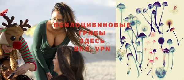 тгк Михайлов
