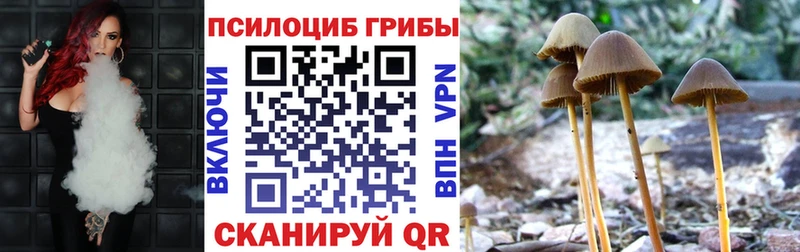 Галлюциногенные грибы Cubensis  Лодейное Поле 